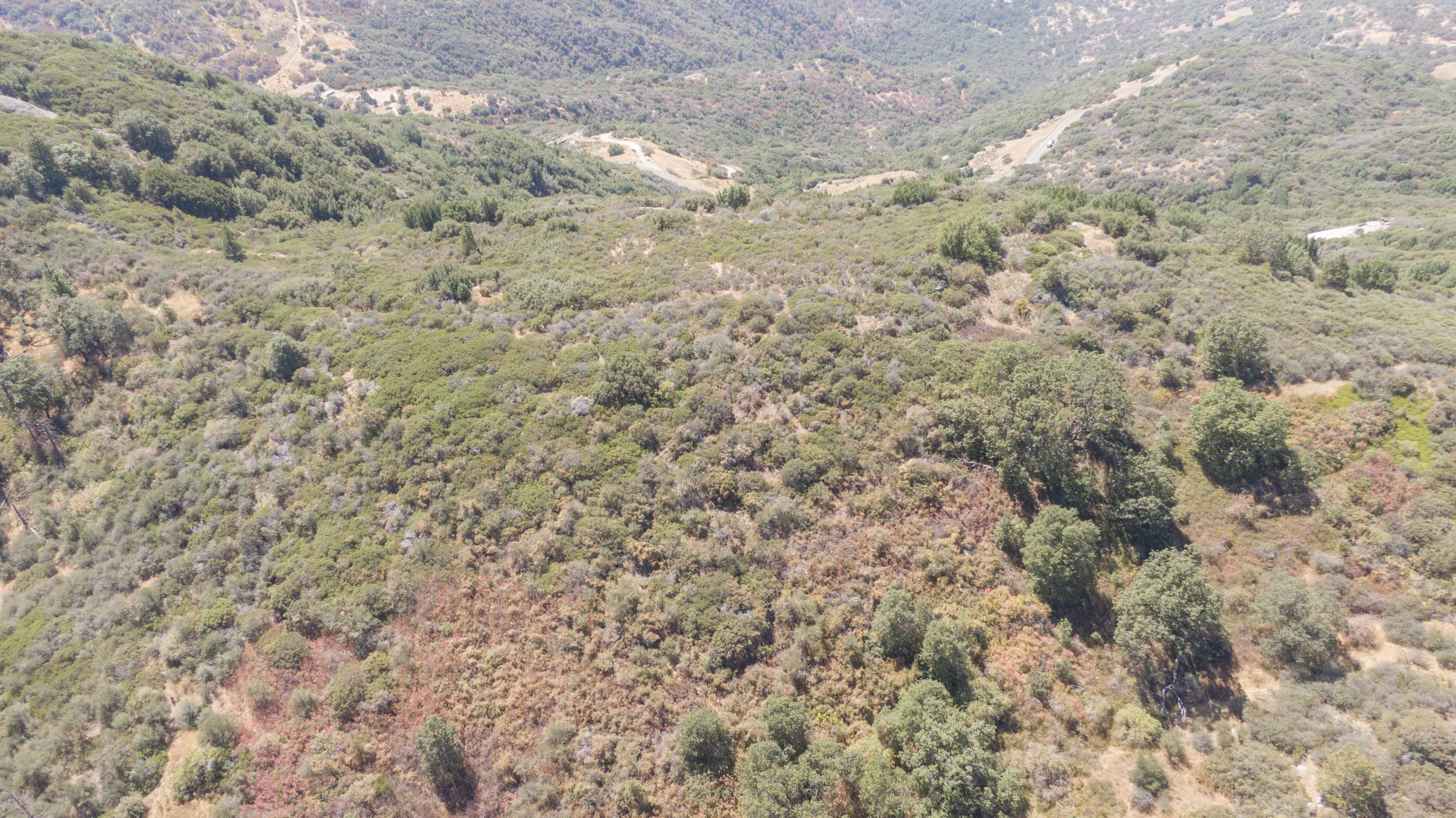 Aerial view of oak and chaparral hillsides on the 420-acre Kings Canyon property along Highway 180