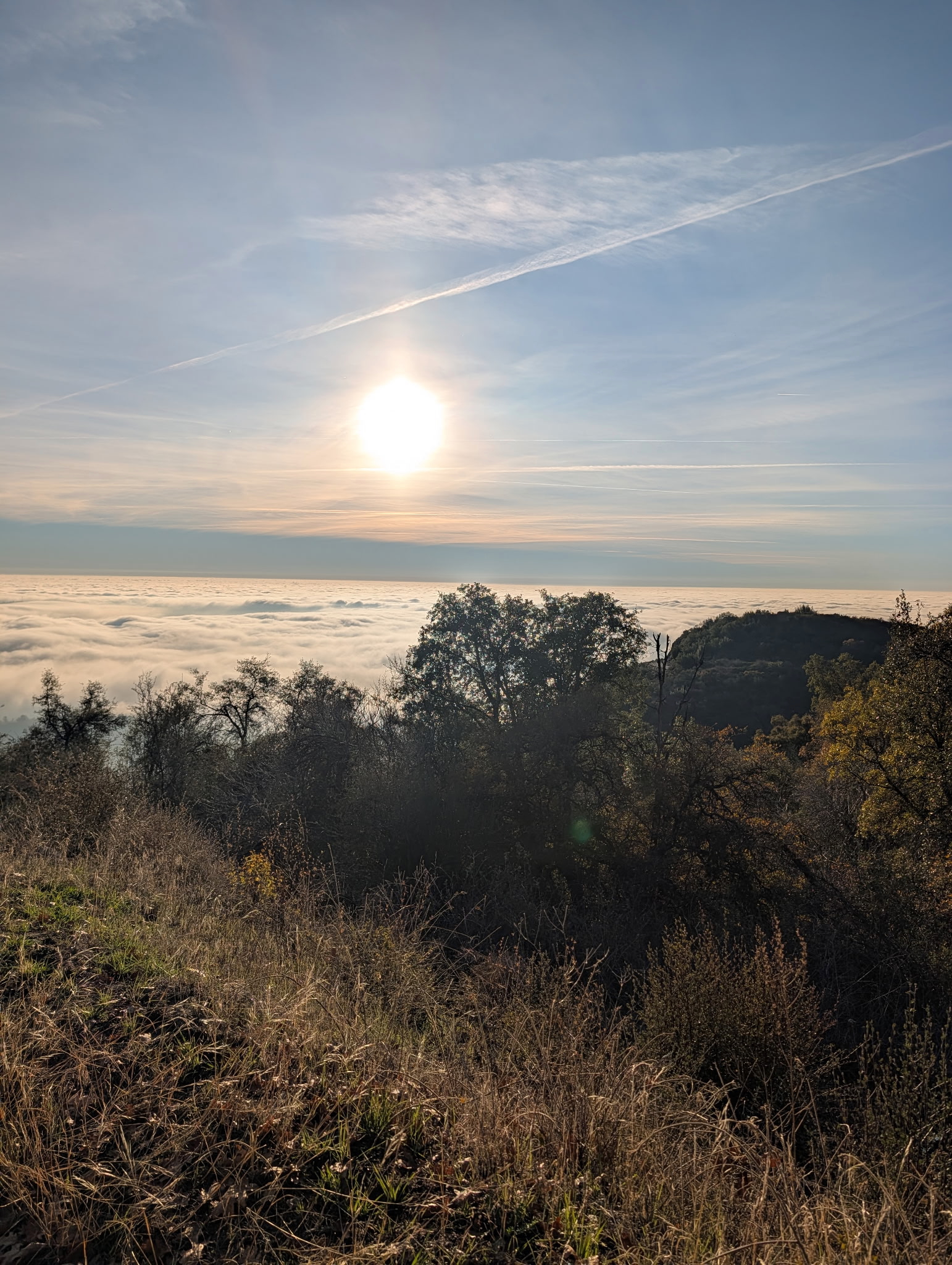 Morning view from the foothills looking down onto a bright sea of Tule fog filling the valley below
